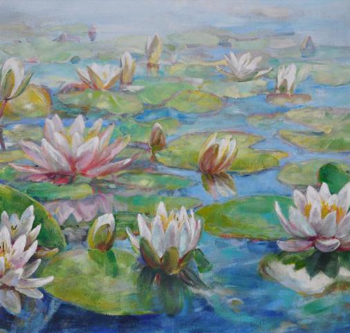 #waterlily